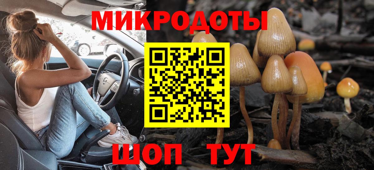 Галлюциногенные грибы мицелий  Вход с VPN  Новоуральск  Псилоцибиновые грибы Psilocybe 