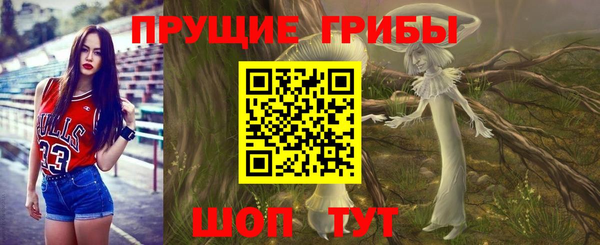 Галлюциногенные грибы Psilocybine cubensis Новоуральск